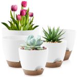 FOUKUS Set of 5 Self-Watering Plant Pots with Drainage – Eco-Friendly Plastic Planters for Indoor & Outdoor Use – Pots for Succulents, Cactus, Snake Plants (7, 6.5, 6, 5.5, 5) – Green - Image 7